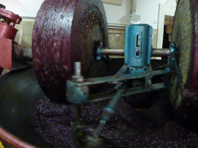 The mill